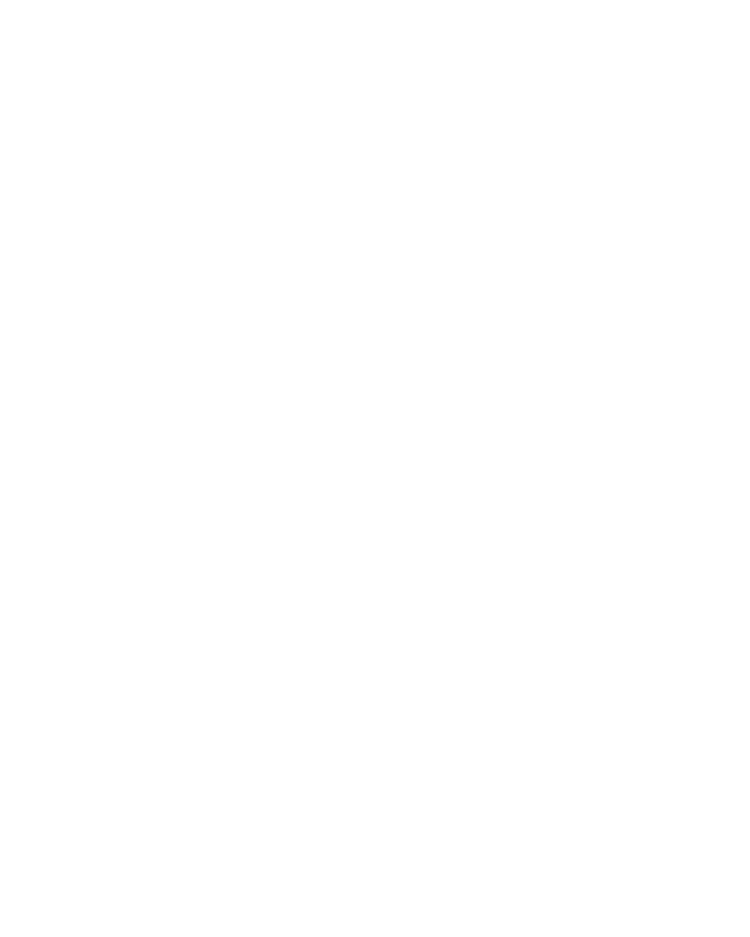 Logo NextPuro